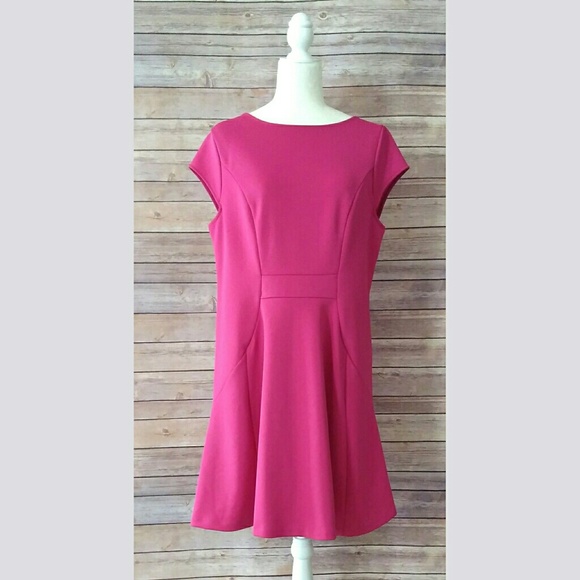 The Limited Dresses & Skirts - The Limited pink cap sleeve A-line dress