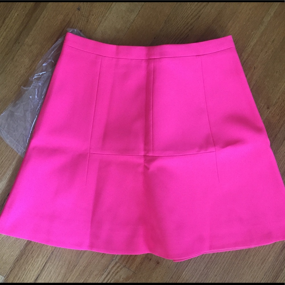 NWT Hot Pink J Crew Skirt