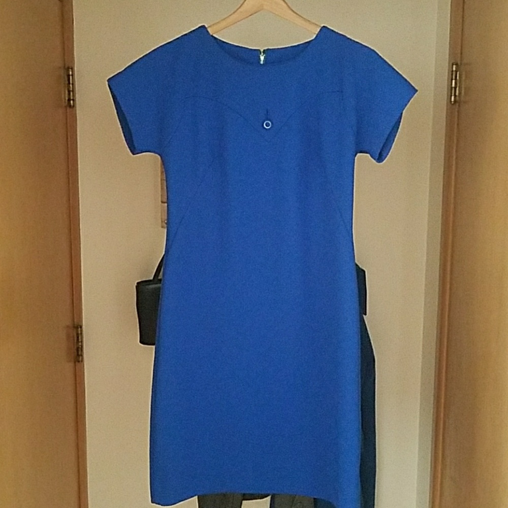 ⭐ Vintage Blue Dress