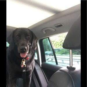 Meet your Posher, Dianne