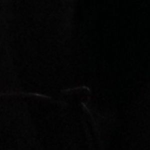 Meet your Posher, Moriah