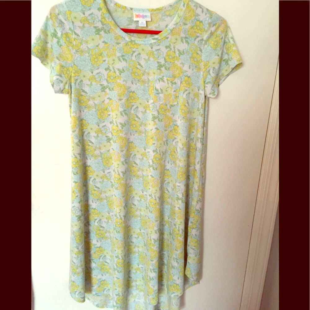 Lularoe Scarlet dress 12 new wo tags.Final price