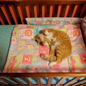 Meet your Posher, Sheila