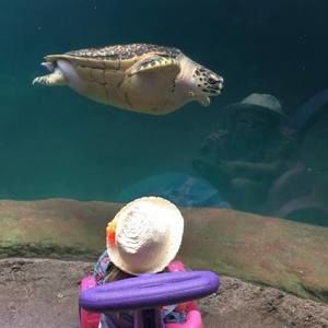 Meet your Posher, Bobby