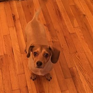 Meet your Posher, Sandro