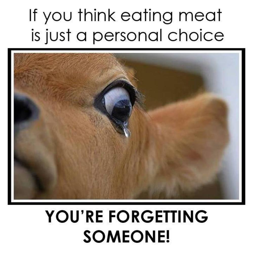 Meet your Posher, Aurora