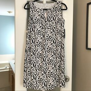 New York & Company Shift Dress - B&W floral NWT