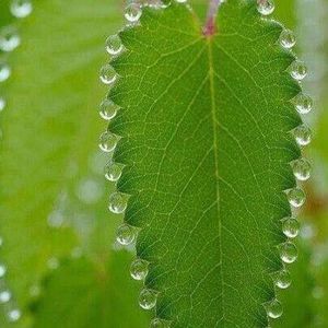 Meet your Posher, Gabriel