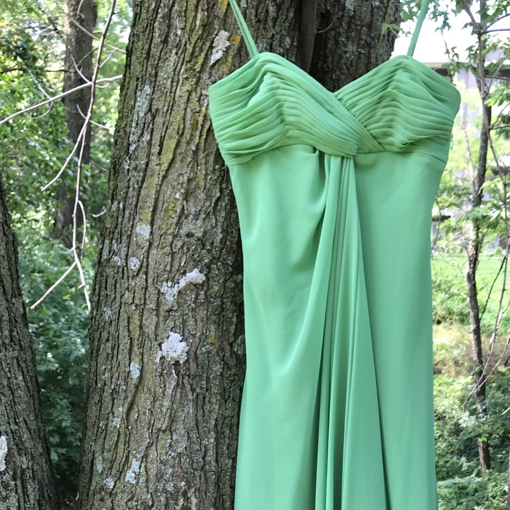 David's Bridal Bridesmaid Dress