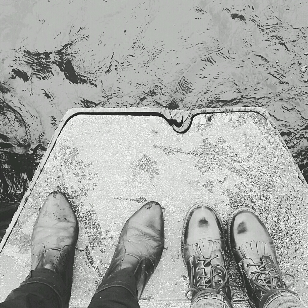 Meet your Posher, Sammy