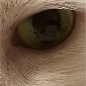 Meet your Posher, Christine