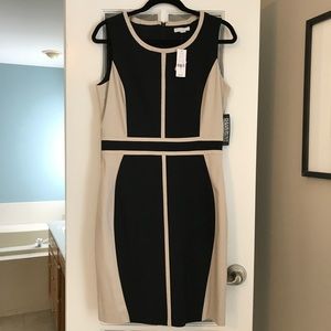 New York & Company Color Block Sheath Dress