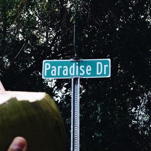 Meet your Posher, Luis