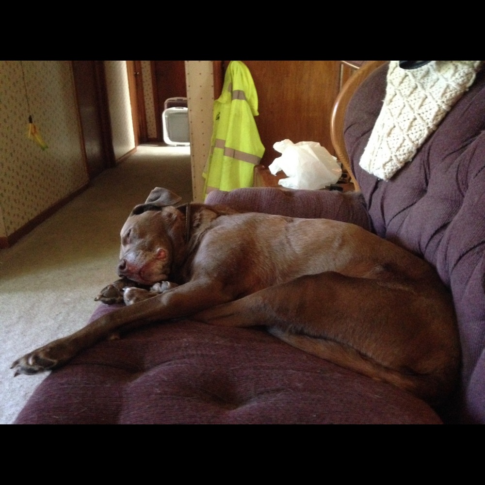 Meet your Posher, Julie