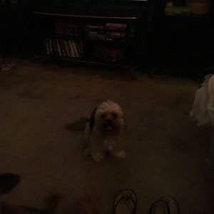 Meet your Posher, Sandra