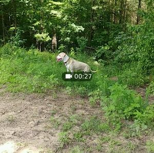 Meet your Posher, Sonia