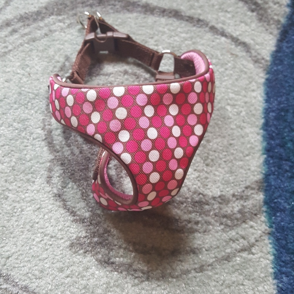 Dog Harness, Size Small