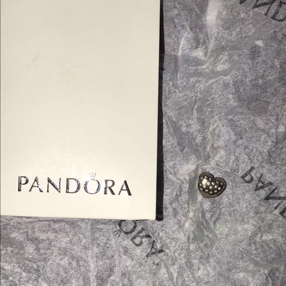 Pandora heart Charm *Used*