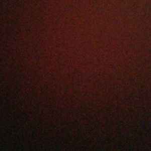 Meet your Posher, Evelin