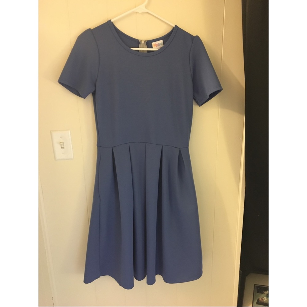 Size medium LulaRoe Amelia Dress