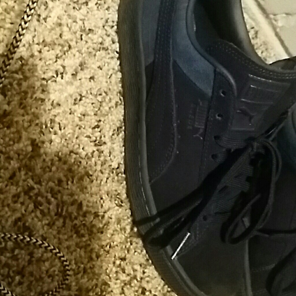 Pumas - Picture 5 of 5