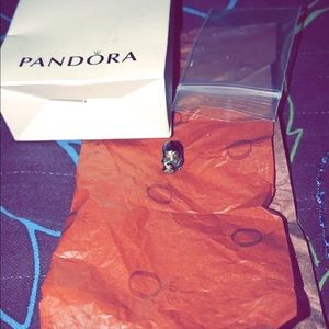 Pandora penguin family charm