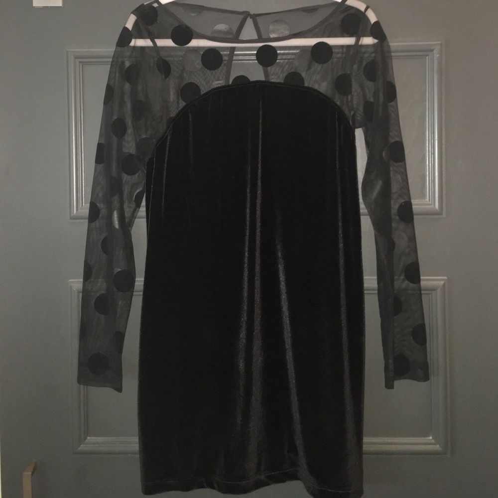 Velvet Polk a Dot Little Black Dress