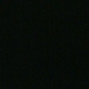 Meet your Posher, Shawn