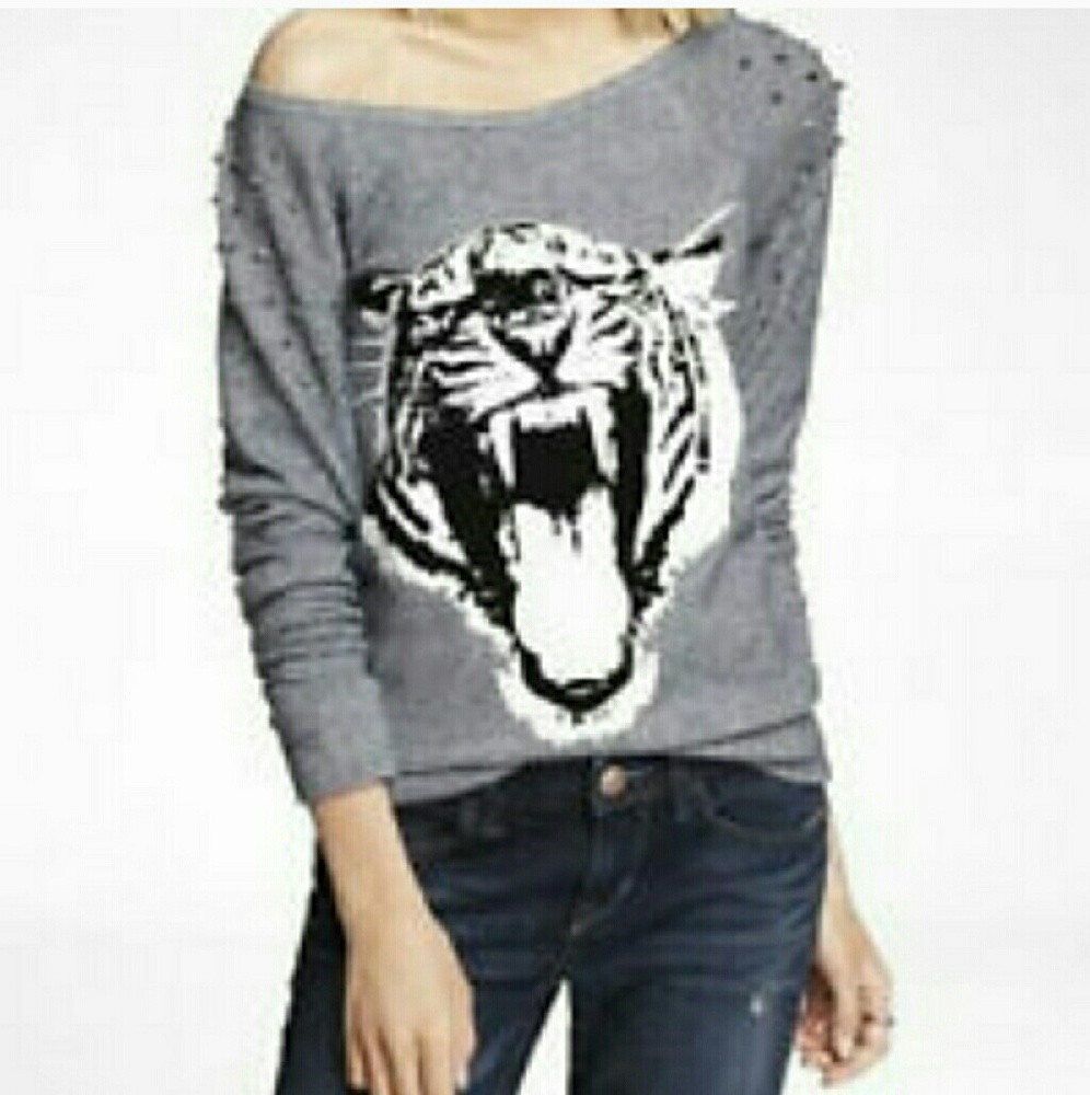 Express Sweater tiger