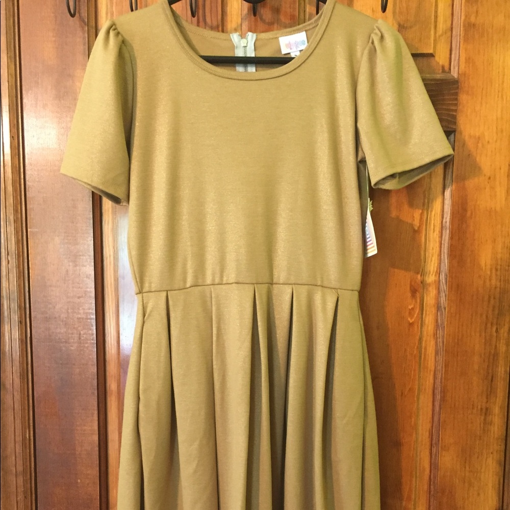 LuLaRoe Amelia "pocket dress" Small
