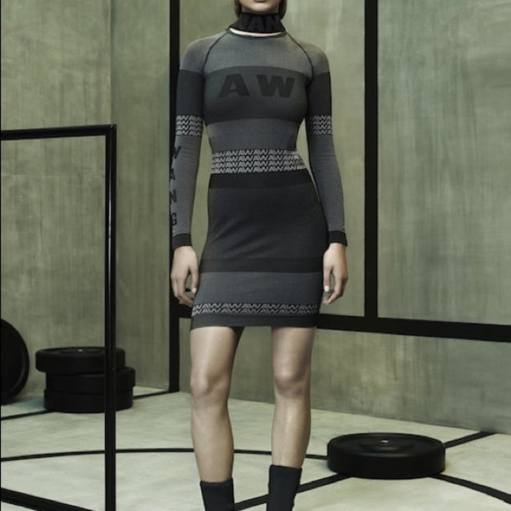 Alexander Wang for H&M dress