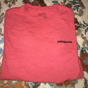 patagonia t-shirt