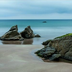 Meet your Posher, Cedric