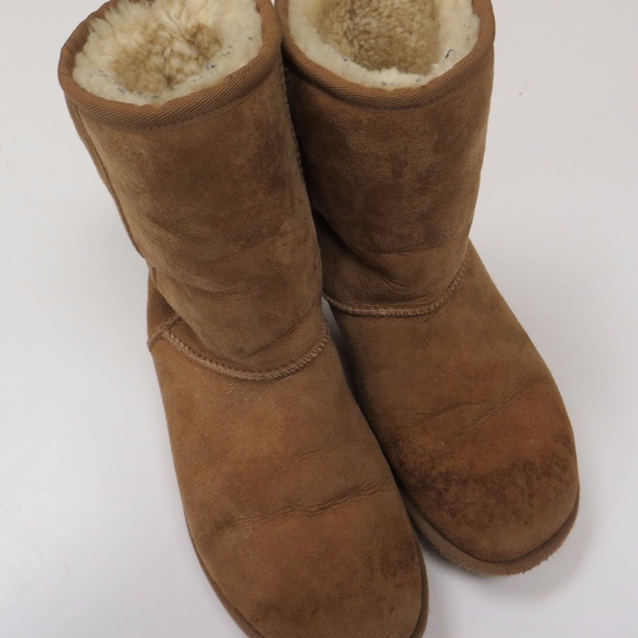 ugg australia classic short chestnut 39 ugg australia classic short chestnut 39