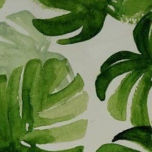 Meet your Posher, Shanza