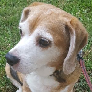 Meet your Posher, Ellen