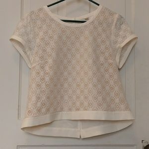 Lace Crop Top