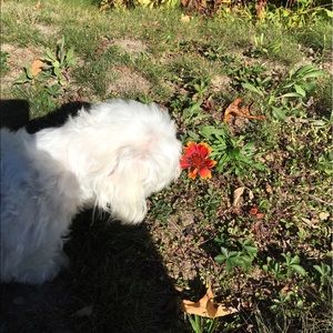 Meet your Posher, Michelle