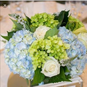 Meet your Posher, Kay