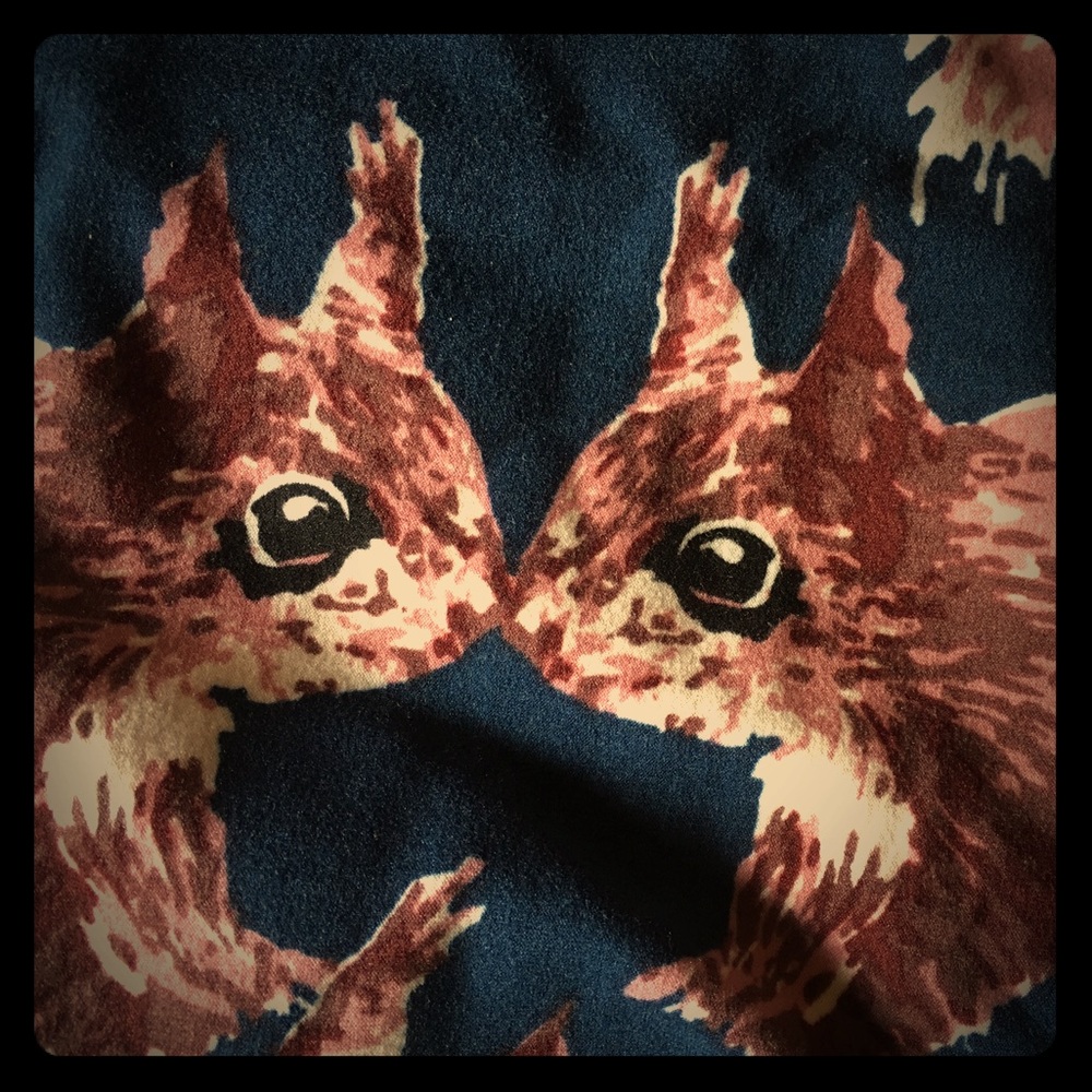 HTF Lularoe TC squirrel leggings