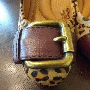 Fossil buckled heels