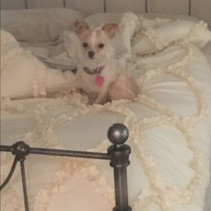 Meet your Posher, Megan