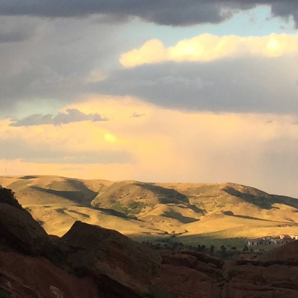 Meet your Posher, Shannon