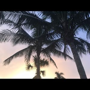 Meet your Posher, Martina