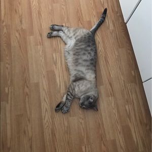 Meet your Posher, Madison