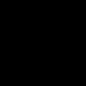 Meet your Posher, Noel