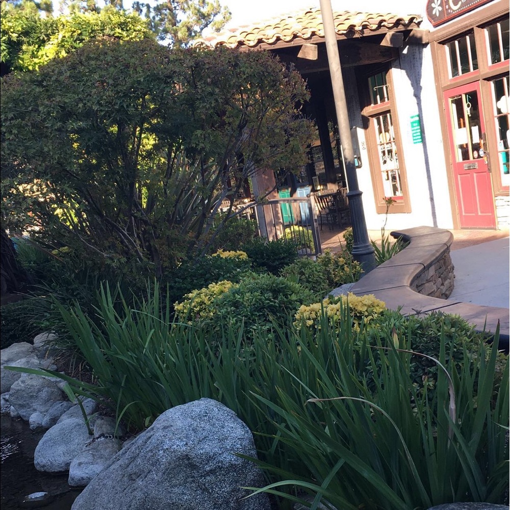 Meet your Posher, Milagros