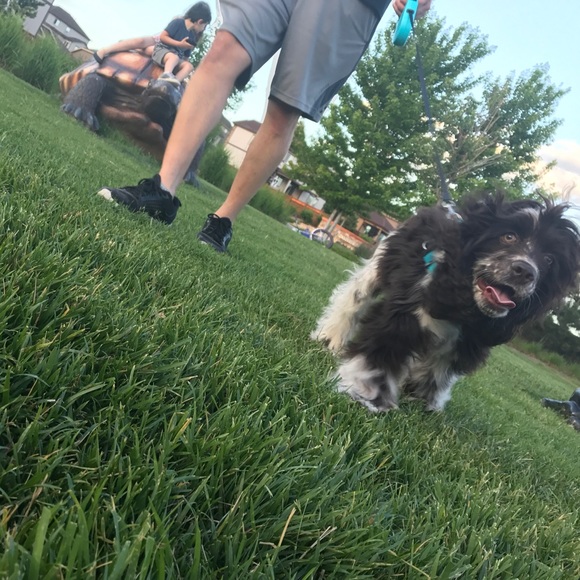 Meet your Posher, Bree! - Picture 7 of 8