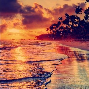 Meet your Posher, Negin