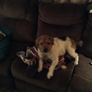 Meet your Posher, Karen